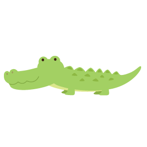 1 alligator